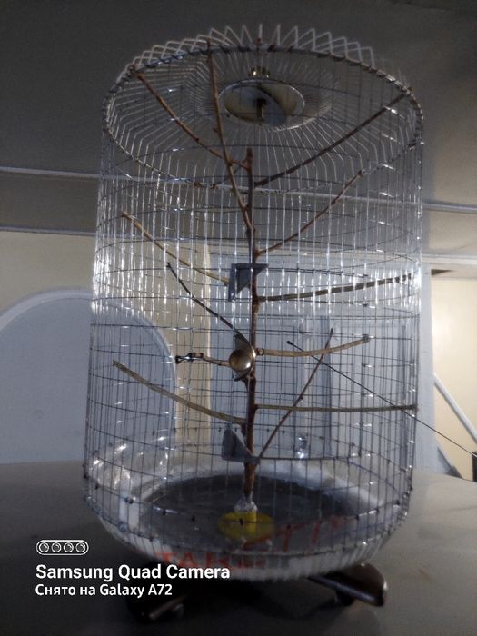 Qafas kanareka totilar uchun