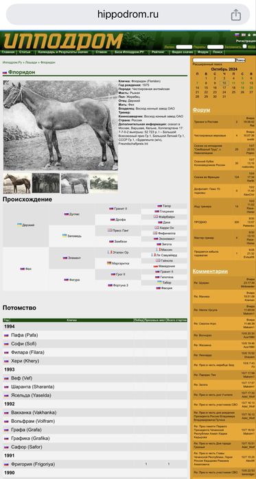 Тазақанды айғыр сатылады