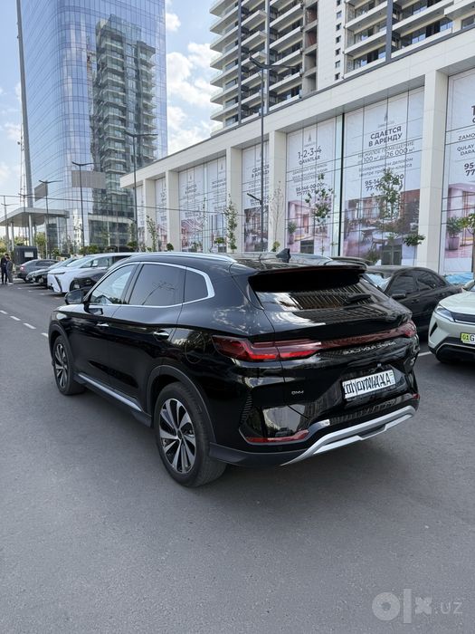 Byd chempion 2024