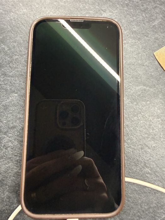 Iphone 13 pro max spate spart