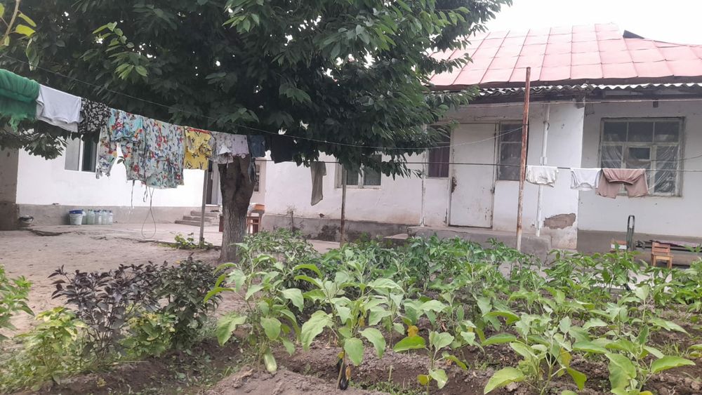 Bostonliq tumani Qziltuda hovli sotiladi