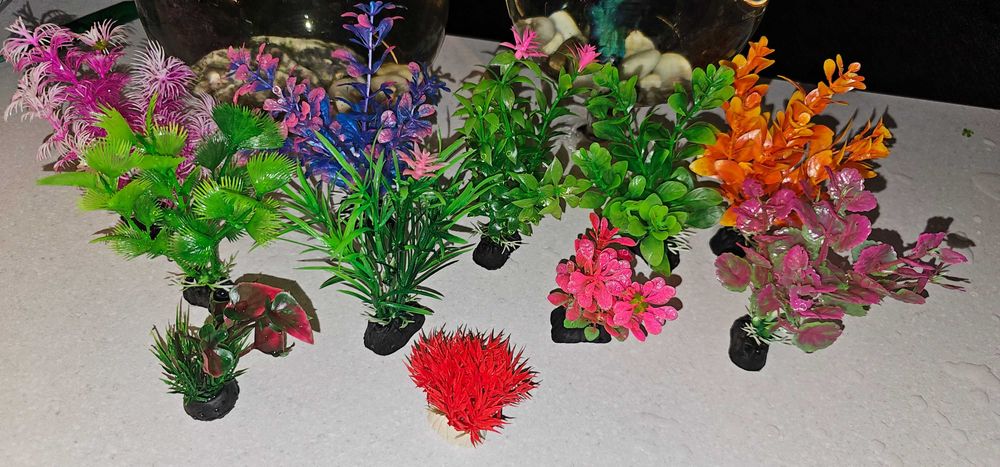 Аквариумная рыбка с аквариумом и декором.