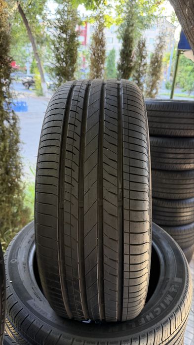 Bud Sealion R19 Original Diska balon
