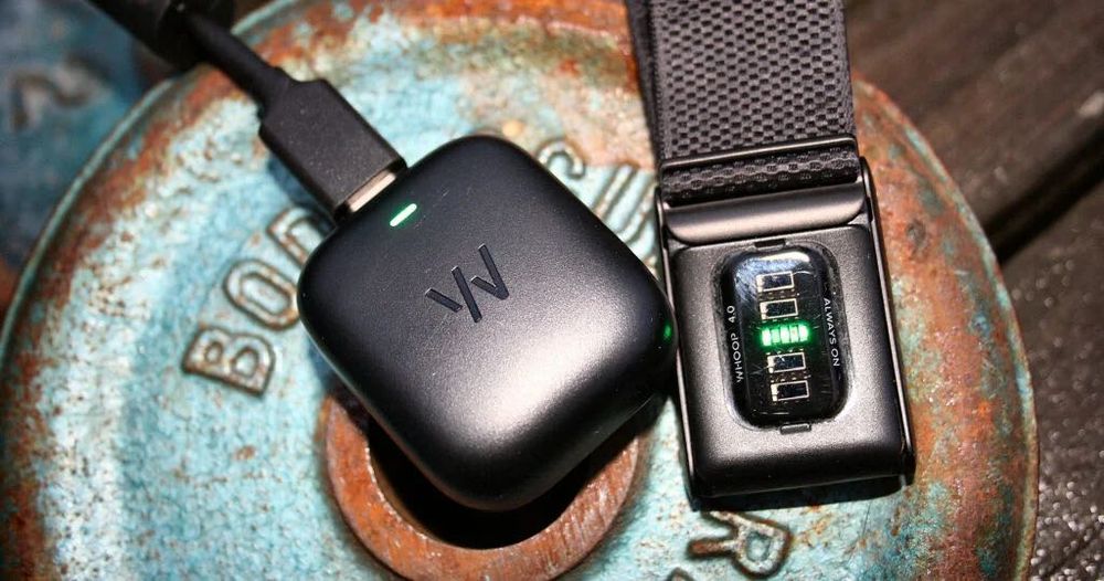 Новый Whoop 4.0 бесплатной подпиской| Фитнес-браслет |