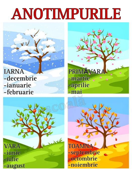 Planșe educative plasticate