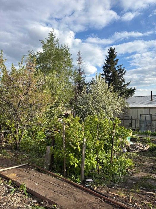 продам дачу на Пёстром