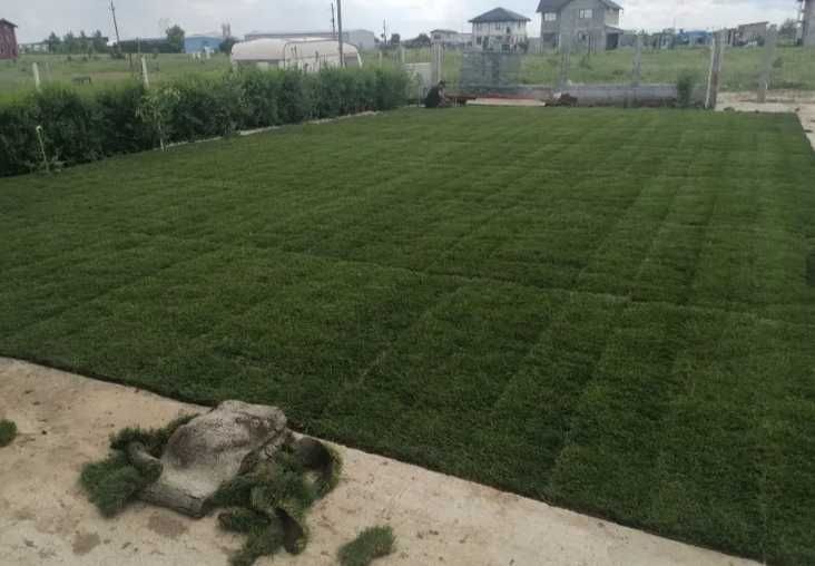 Gazon Rulou si sisteme de Irigare