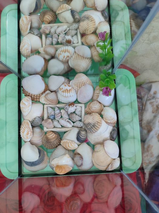 Продаю Аквариум 8-9 литров