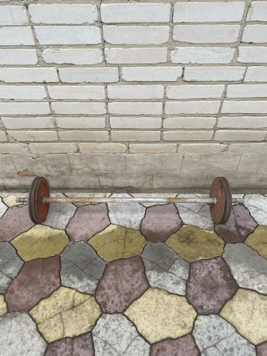 Штанга в сборе