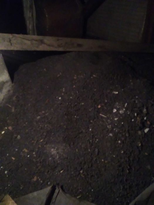 Подарявам сгурия