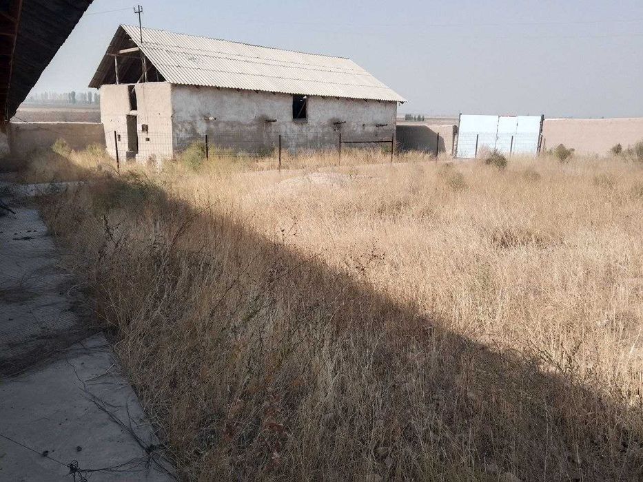 5 гек. бог сотилади срочно, Наманган в, Чуст т, Саримсоктепа кишлогида