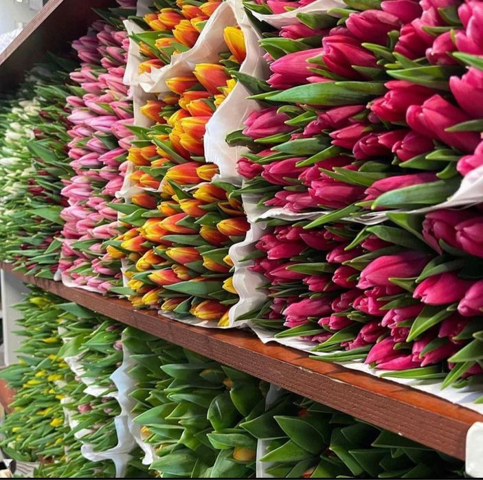 Тюльпаны оптом и в розницу 450 тенге