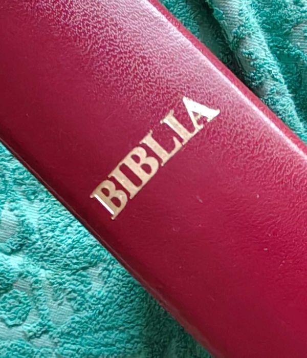 BIBLIA ORTODOXA cu scris mare
