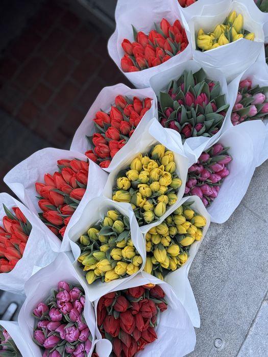 Тюльпаны на 8 марта оптом и в розницу