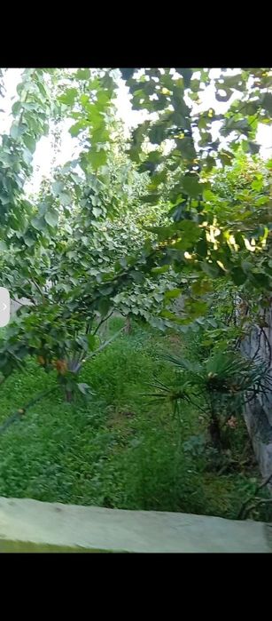 Turar joy honadon sotiladi