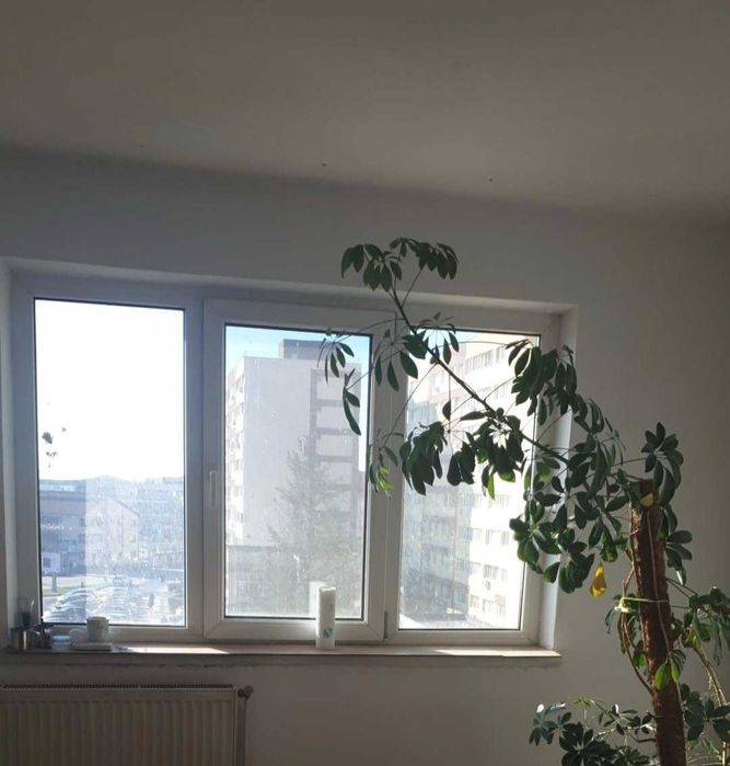 Apartament 2 camere de vanzare