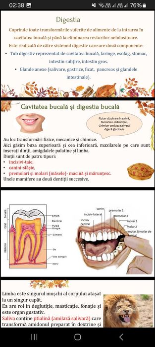 Meditatie biologie bacalaureat