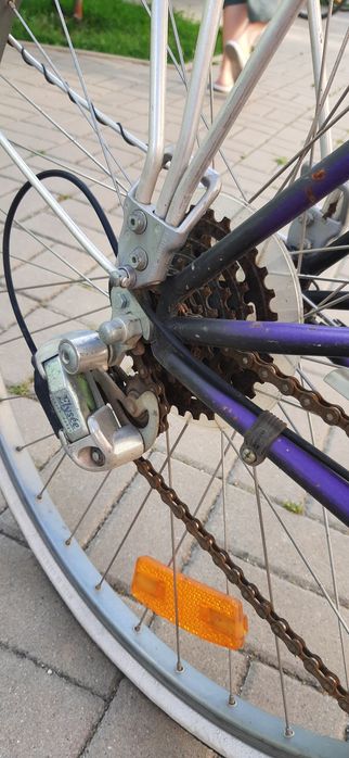 Bicicleta dama vintage
