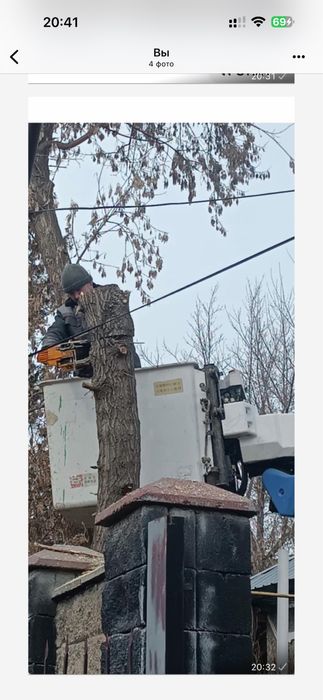 Распил Дров (Выезд на место)