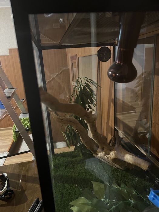 Террариум для рептилий