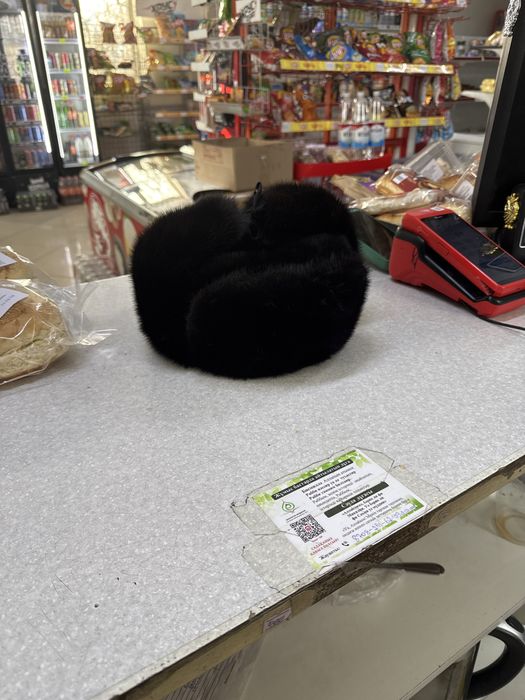 Продам Ушанку росиискии белку носили пару разов новая