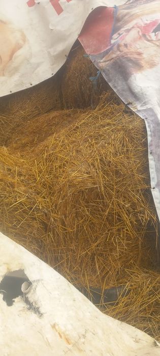 Baloti mari de FAN 180/120 mărime