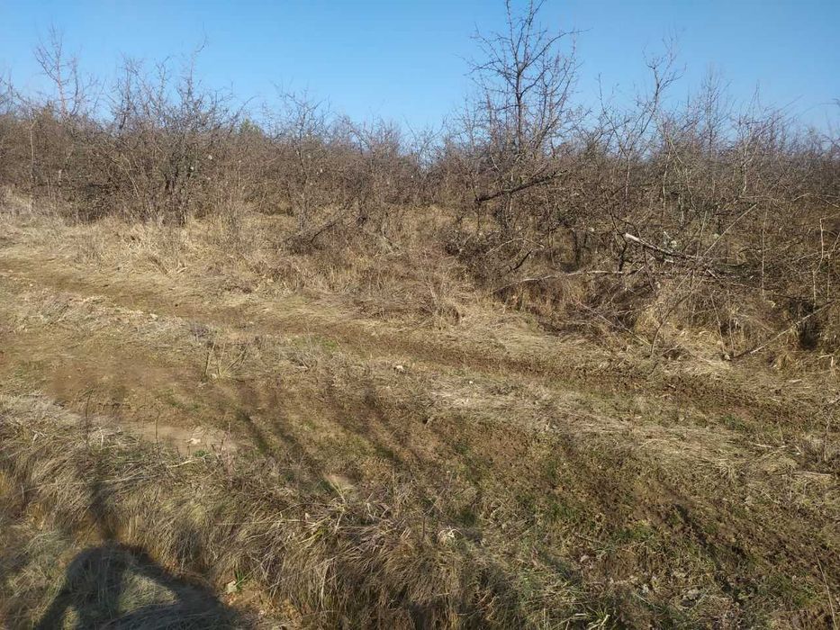 Продава се Земеделски имот в с. Войнежа, Област Велико Търново -  кв.м за 738 €/дка - Снимка #3