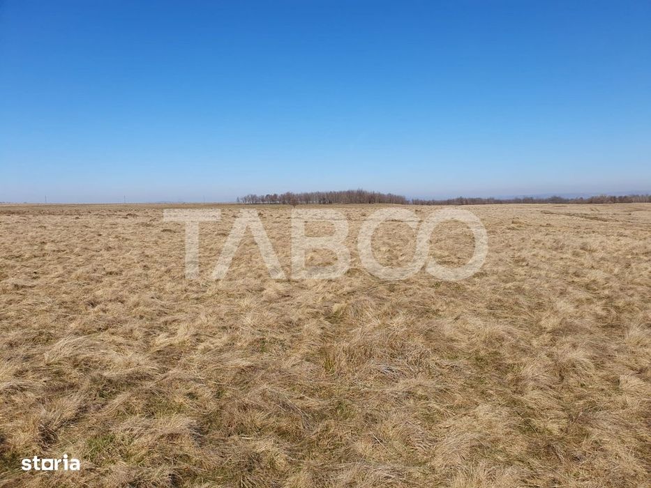 Teren de vanzare in zaona extravilanului comunei Recea 600 mp