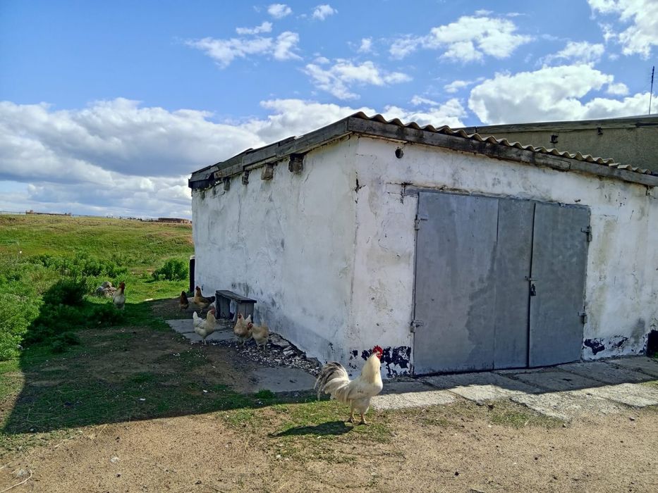 Продаю дом  село жанакала