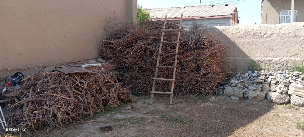 Oʻtin sotiladi Samarqand viloyati Pastdargʻom tumani