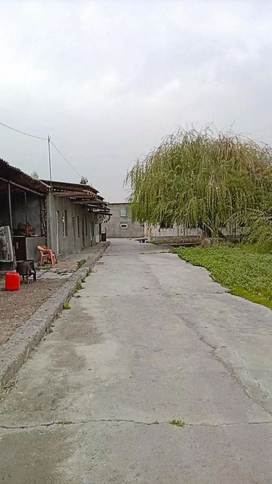 Готовый агробизнес! Продаётся ферма 1.05 Гектар  в Ташкенте (Черняевка