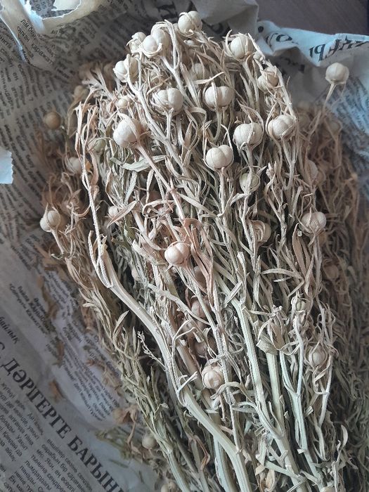 Продам адраспан для очищения помещений