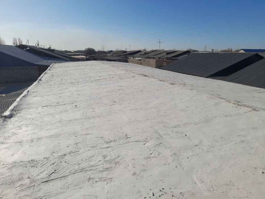 Peno lomboz, Tom quyish, Том Шувок Palesterol lomboz,