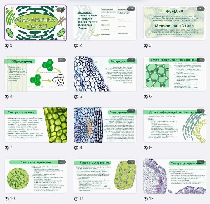 Презентации за училище, университет  във Figma, Canva, PowerPoint