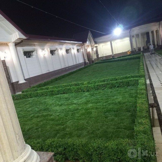 Газон екиш хизмат тайёр газон оптом нархларда