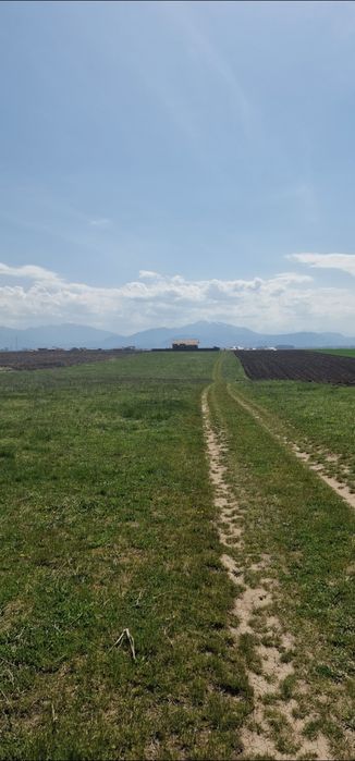 Teren intravilan Bod 20000mp