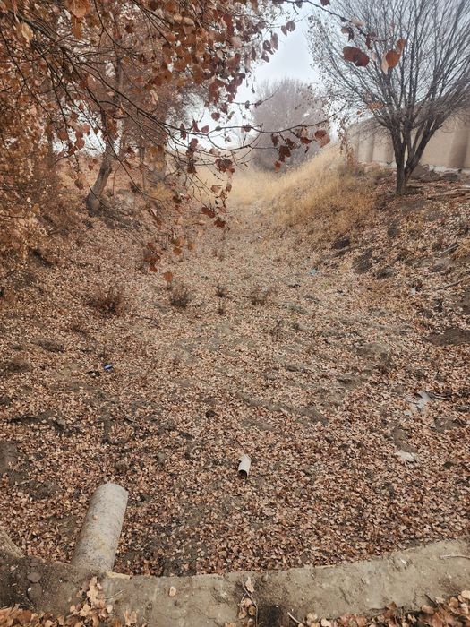 Xiva shaxrida tayyor bigness sotiladi