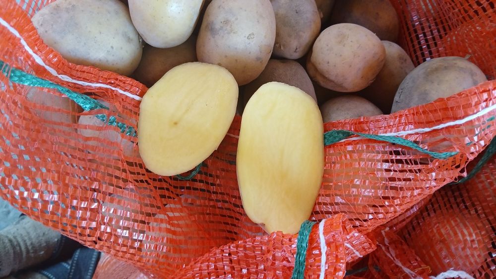 Продам картошку 150 тг за кг