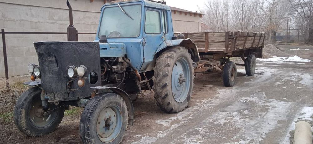 Трактор Мтз 80. 1981 г.