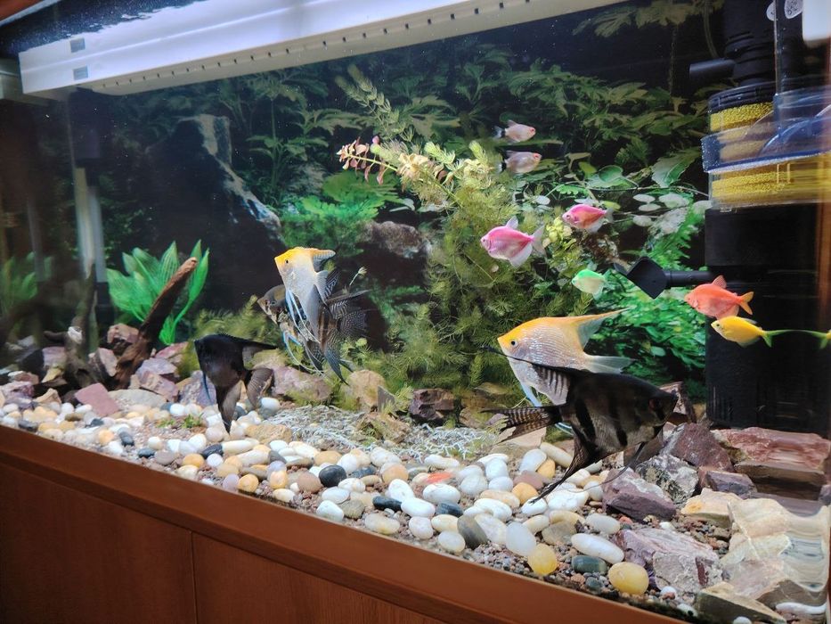 Продаётся аквариум