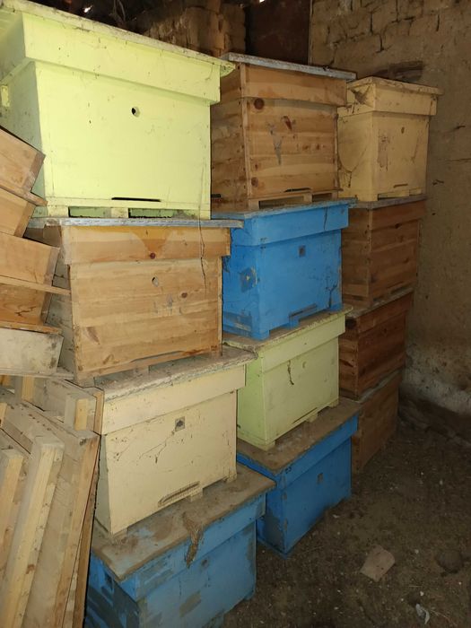 Кошери Дадан блат