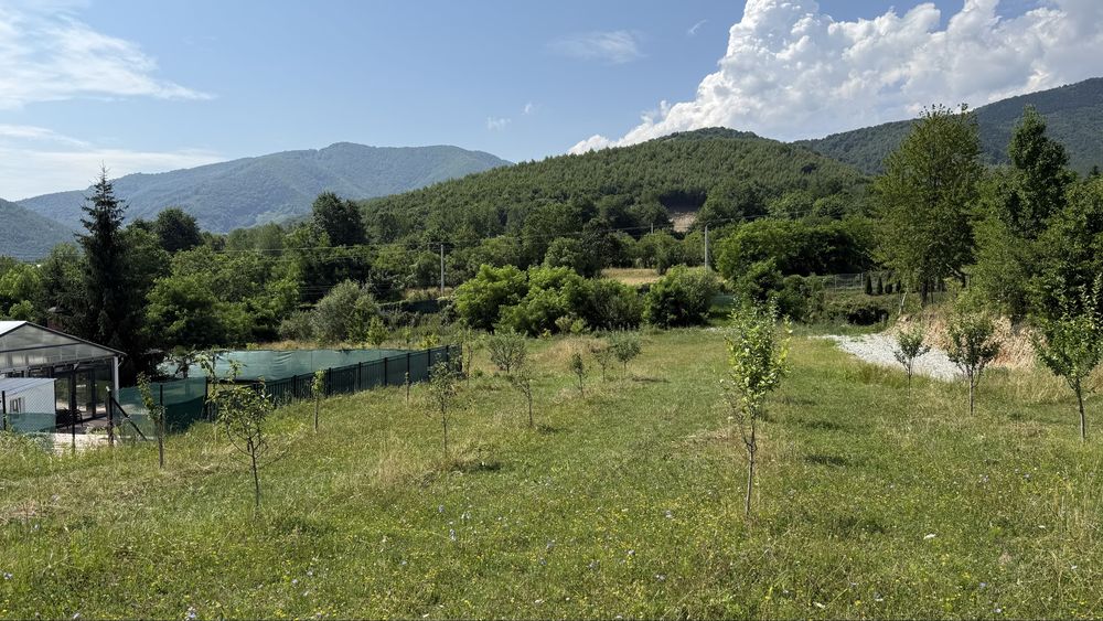 Teren Sadu-Valea Morii