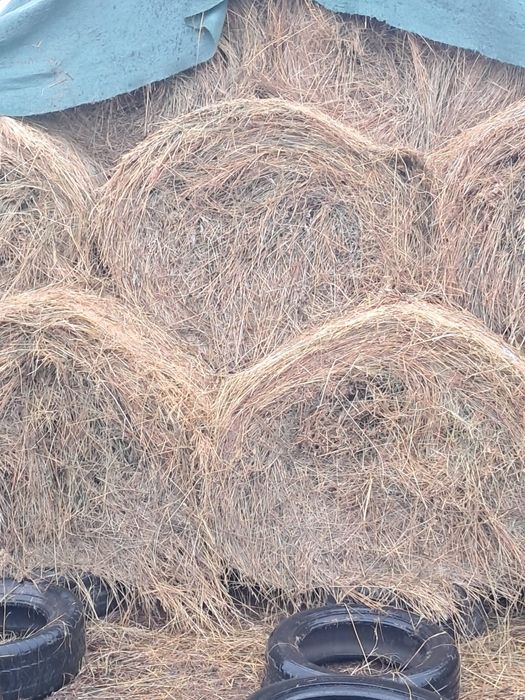 Vând balotib fân  foarte frumos