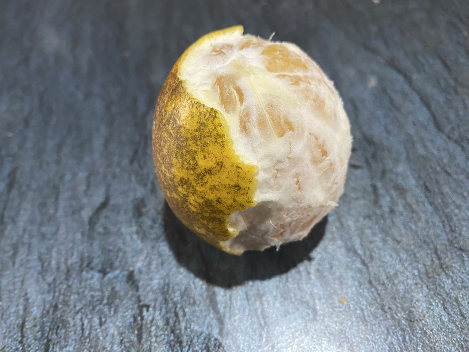 ЛИМОН "Ташкентский" 3 сорт