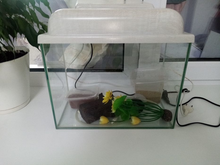 аквариум для рыбы