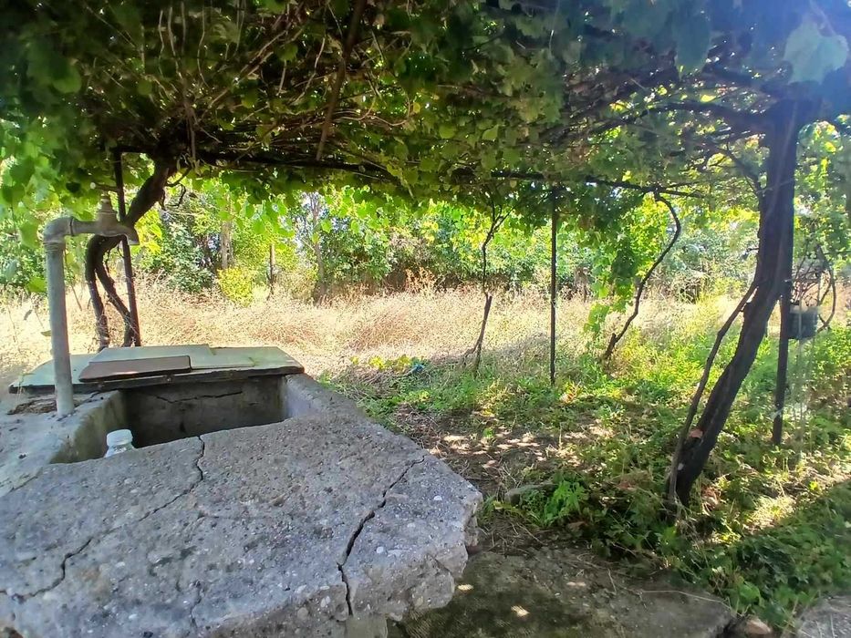 Къща с 2 декара двор, в село Кривня, обл.Варна