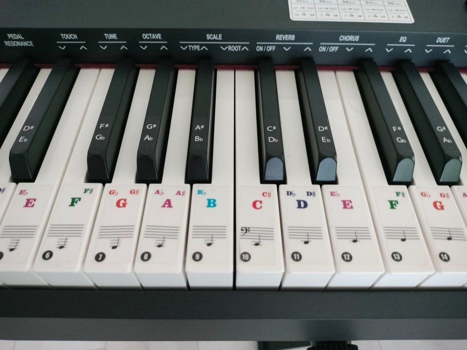 Orga digitala ThomannDP-26