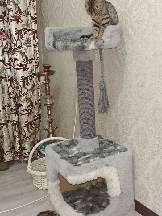 Rus lezbiyen porno videolarini tomosha qiling