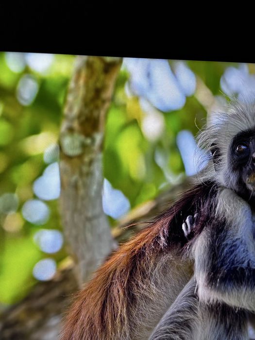 Xiaomi A Pro 43 телевизор