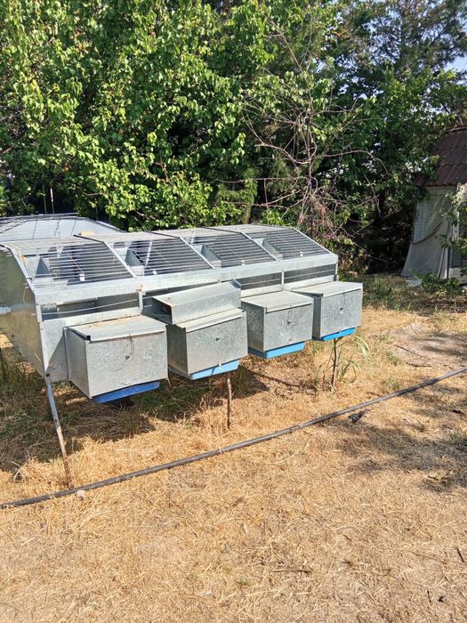 quyoning uyi sotiladi 2 ta dina  narxi 5 mln. manzil toshkent